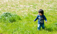 草原で遊ぶ子ども